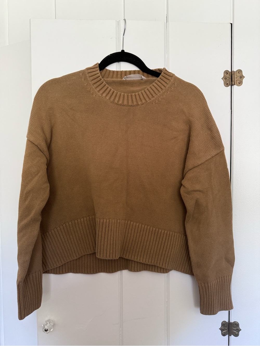 Everlane Cotton Crewneck Women's Sweater in Camel